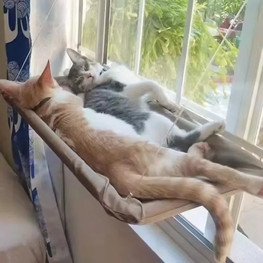Sunny View Window Hammock